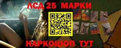 spice Кингисепп