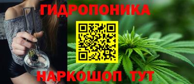 прущая мука Кимры