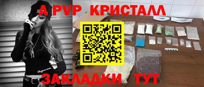 spice Кингисепп